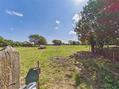 Picture 27